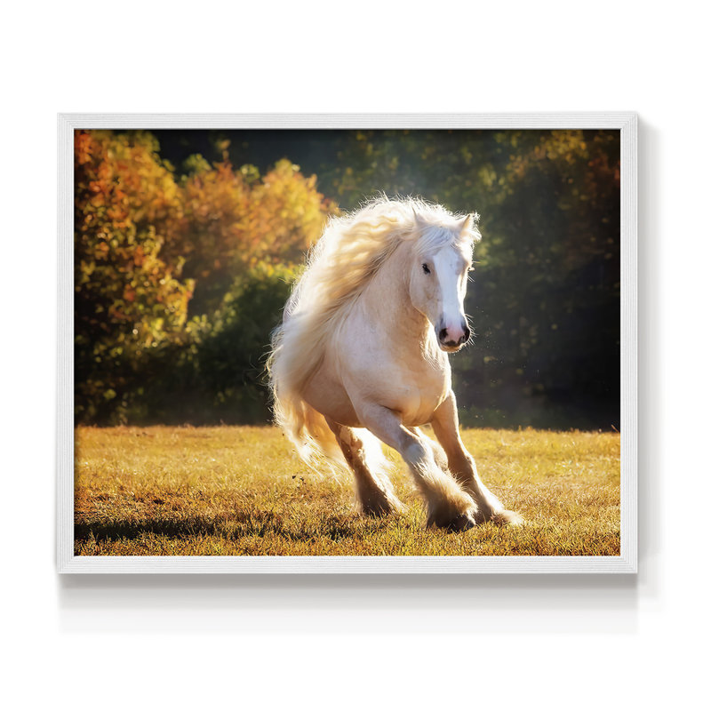 Horse Motion IV -Framed Print - Restickable, H 11 po x l 14 po, Blanc