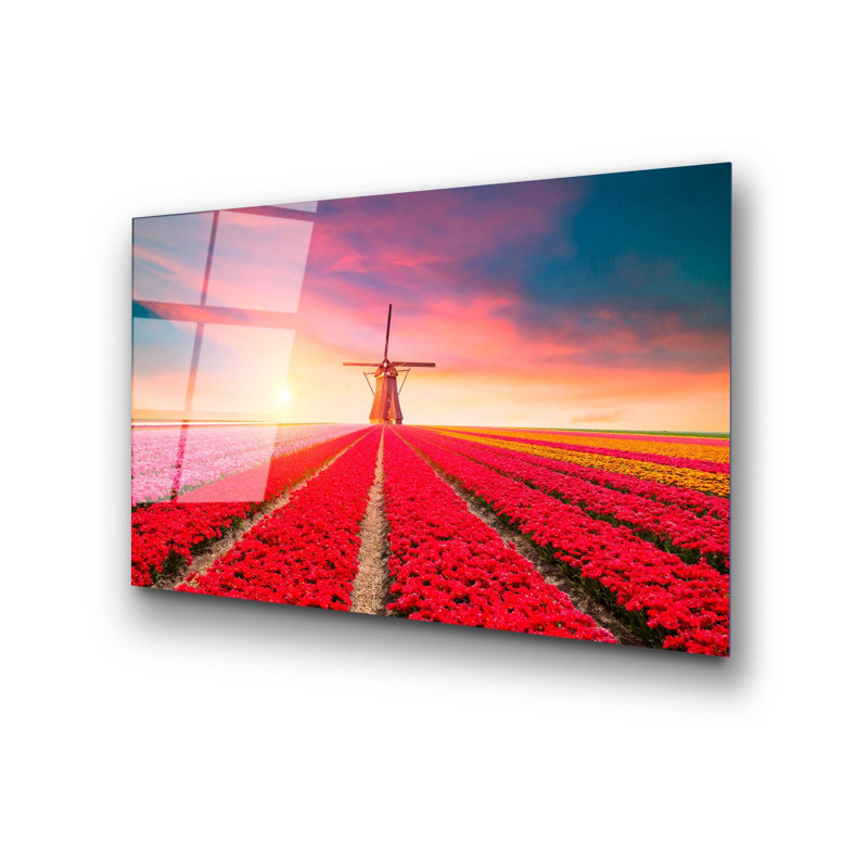 Elegant Decorative Tempered Glass Painting, 19.7 x 27.6 Inches | 100% Tempered Glass, Thickness: 0.16 Inches | Perfect for Home Decor, Living Room, and Office | Stunning Art Piece with Modern Aesthetic