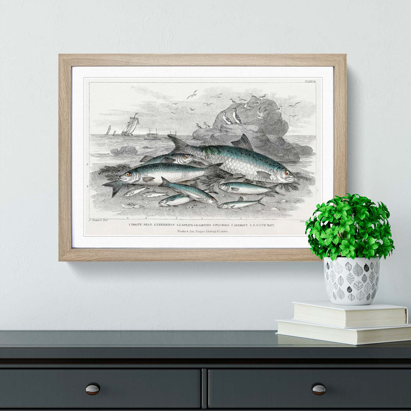 Beached Fish by Oliver Goldsmith - Single Picture Frame Painting, 33cm H x 45cm W x 2cm D, Oak Framed