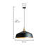 Blossburg 1 - Light Pendant