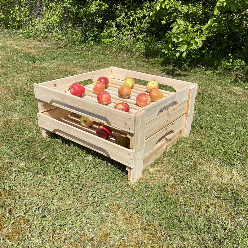 Harji Wood Food Storage Container