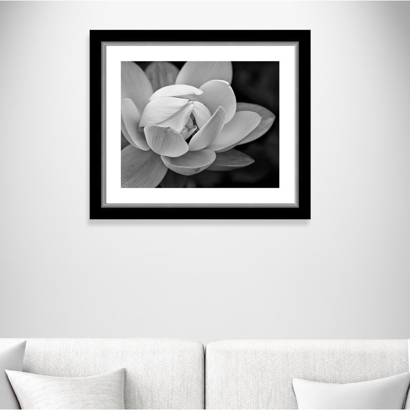 Arriya «Lily Close-Up I», impression encadrée