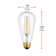40 Watt Equivalent ST18 E26/Medium (Standard) Dimmable 2200K LED Bulb