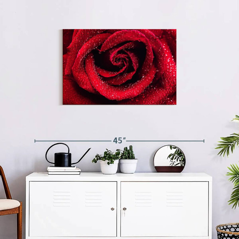Gouttelettes sur une rose rouge, H 20 po x l 30 po