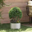 Garden Planter Silver 20 Cm Stainless Steel-1011053968
