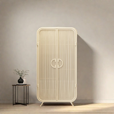 Simple And Light Luxury Steel Art Wardrobe
