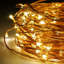 LED Indoor / Outdoor String Lights-186542884-186542883