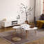 1 Coffee Table-768786586