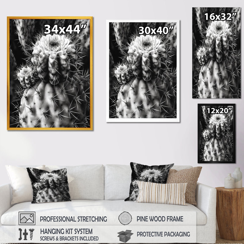 Nayonika " Gray Desert Cactus II ", 32" H x 16" W x 1" D, Wrapped Canvas