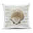 Beige Clam Shell