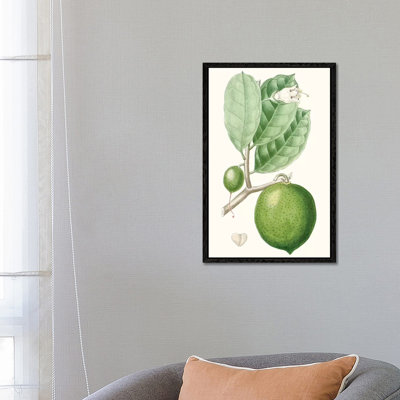 Fruit III by Turpin - Gallery-Wrapped Canvas Giclée on Canvas