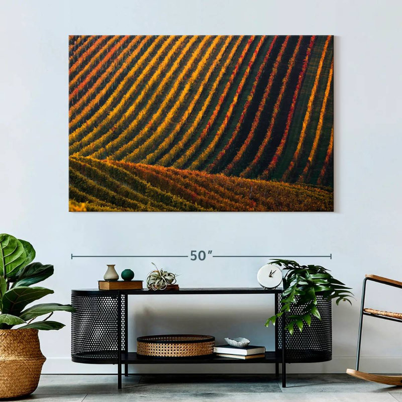 Alvord Vineyard Hill