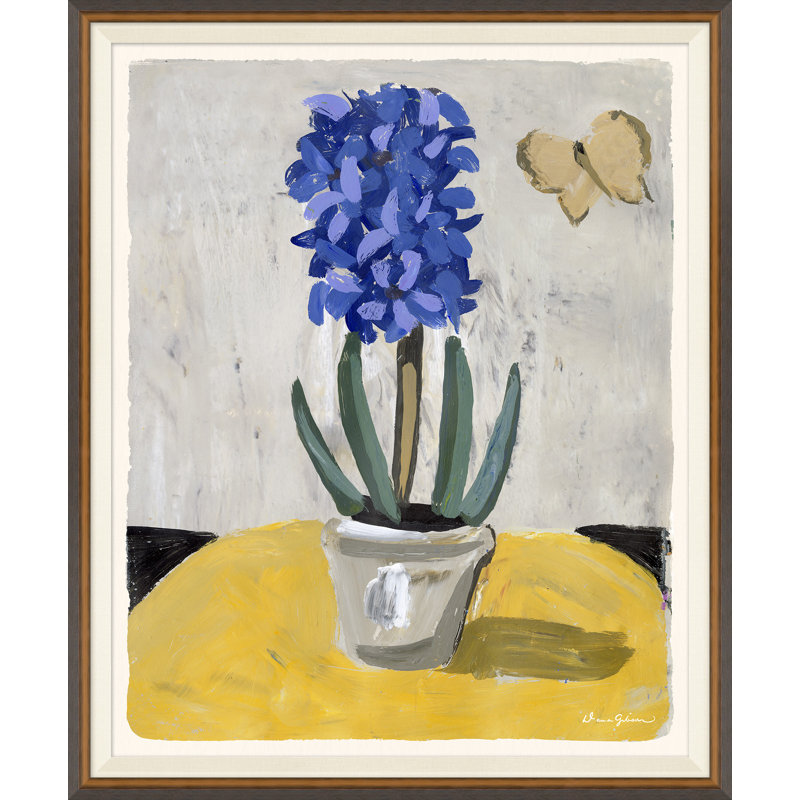 Blue Hyacinth