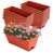 Brick Red