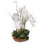 Real Touch Phalaenopsis Silk Orchid Floral Arrangement