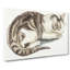 Cat by Johan Teyler - Wrapped Canvas-55304140