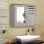 Mirrored Bathroom Cabinets