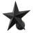 15" Wide Texas Star Wall Sconce