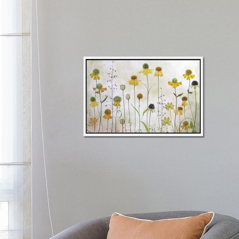 Helenium by Mandy Disher - Print on Canvas, 45.72cm H x 66.04cm W x 3.81cm D, White Framed