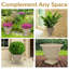 Pot de fleurs d'extérieur rond en polyrésine de 16 po x 16 po x 13 po Darcy-335908183-335908185