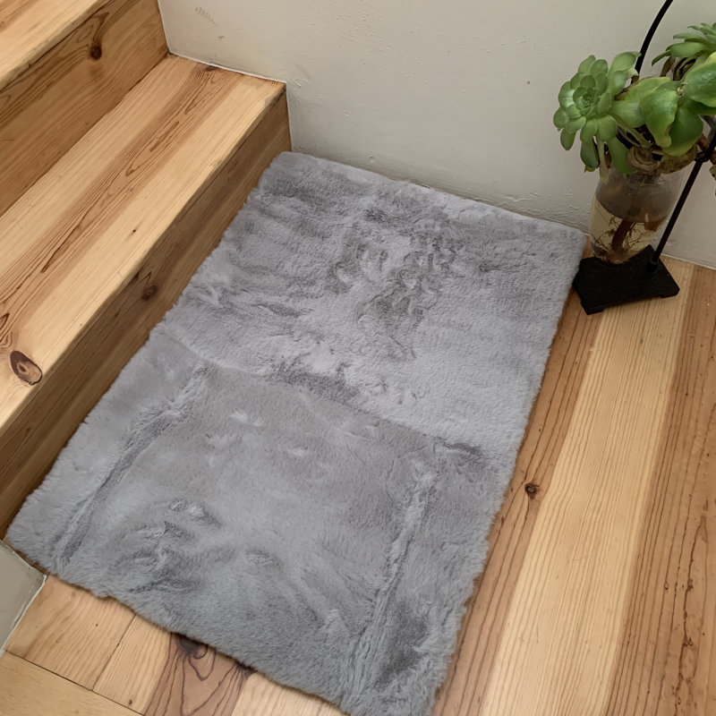 Tapis gris Algenis, Rectangle 2 pi x 3 pi