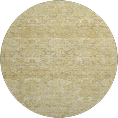 Premium Machine Washable Jamestown AMF1084 Damask Rug