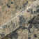 Mystique Abstract Area Rug in Gray
