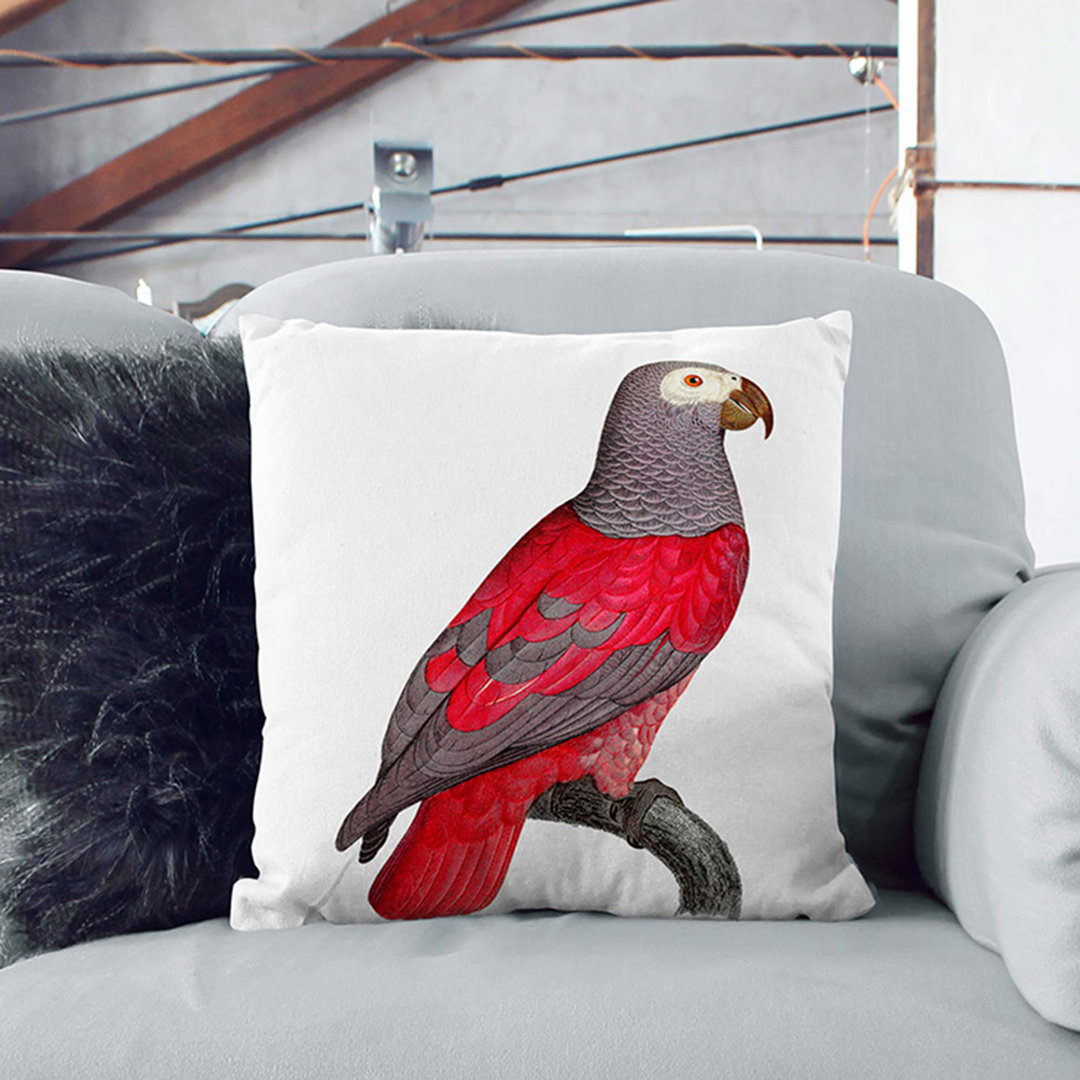 Parrot by F. Levaillant Cushion with Filling