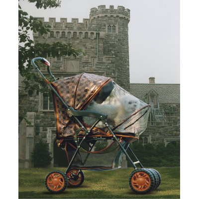 Foldable Pet Stroller