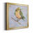 " Bird Variety II "-1638282022-1638282025