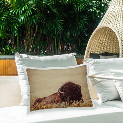 Outdoor Throw Pillow