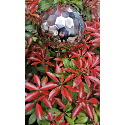 Celsino Stainless Steel Gazing Ball