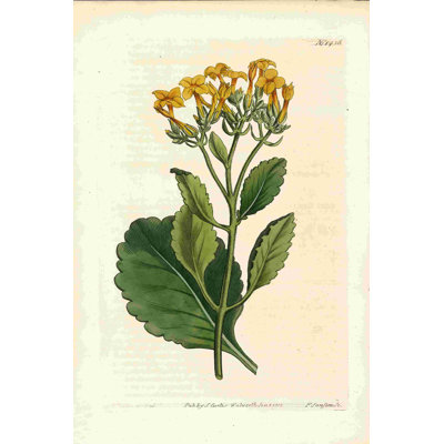Tige de fleur jaune rétro