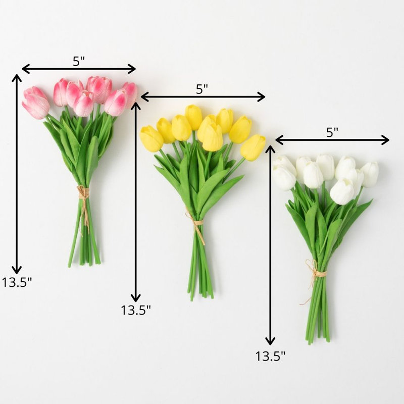 Tiges de tulipes Guisborough