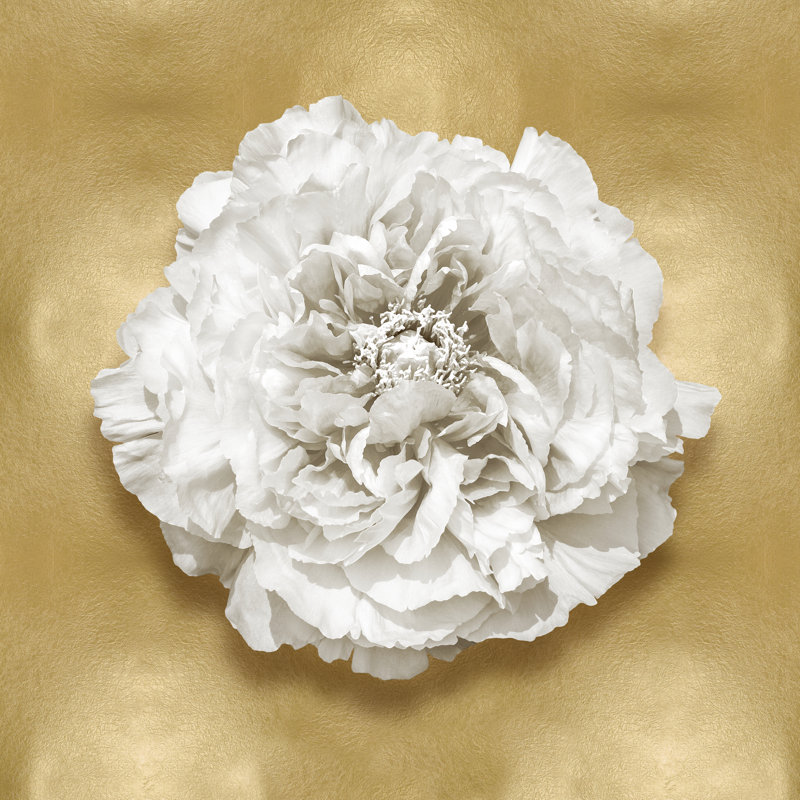 Pure II - Wrapped Canvas Print, 30cm H x 30cm W
