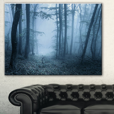 " Foggy Spring Forest "
