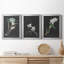 Orchidée sur ardoise I - ensemble de 3 peintures sur toile encadrées-563059927-563059922