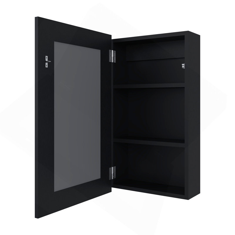 Parks Medicine Cabinet With Included Mirror, Black, Black