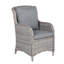 Dibella Patio Dining Armchair with Cushion