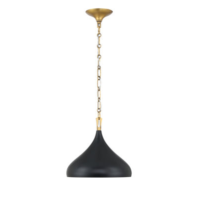 1 luminaire suspendu