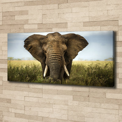 Elephant On The Savanna - No Frame Print on Canvas