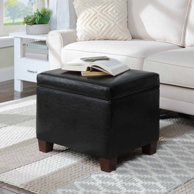 Akifa 21.50" Wide Leather Rectangle Storage Ottoman by Lark Manor