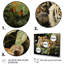 «Asian Art Tigers in Jungle III», reproduction d'art-456180104-456180103