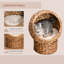 Cat Tree-86896915