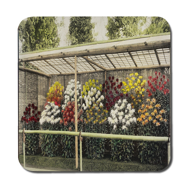Butterfly Pattern Placemats And Coaster Set With Beige Background