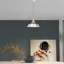 Dredgers 1 - Light Satin Nickel Dome Pendant