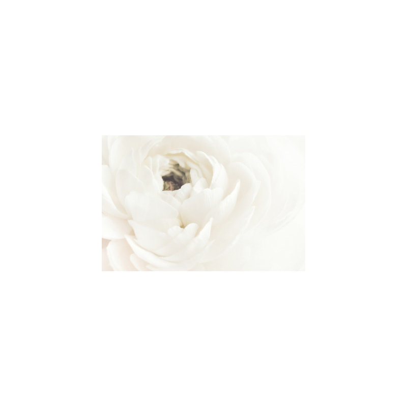Wrapped Canvas Print, 50.8 cm H x 76.2 cm W