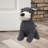 Decorative Dog Door Stop - 2.3 lb. Weighted Door Stopper-100710550