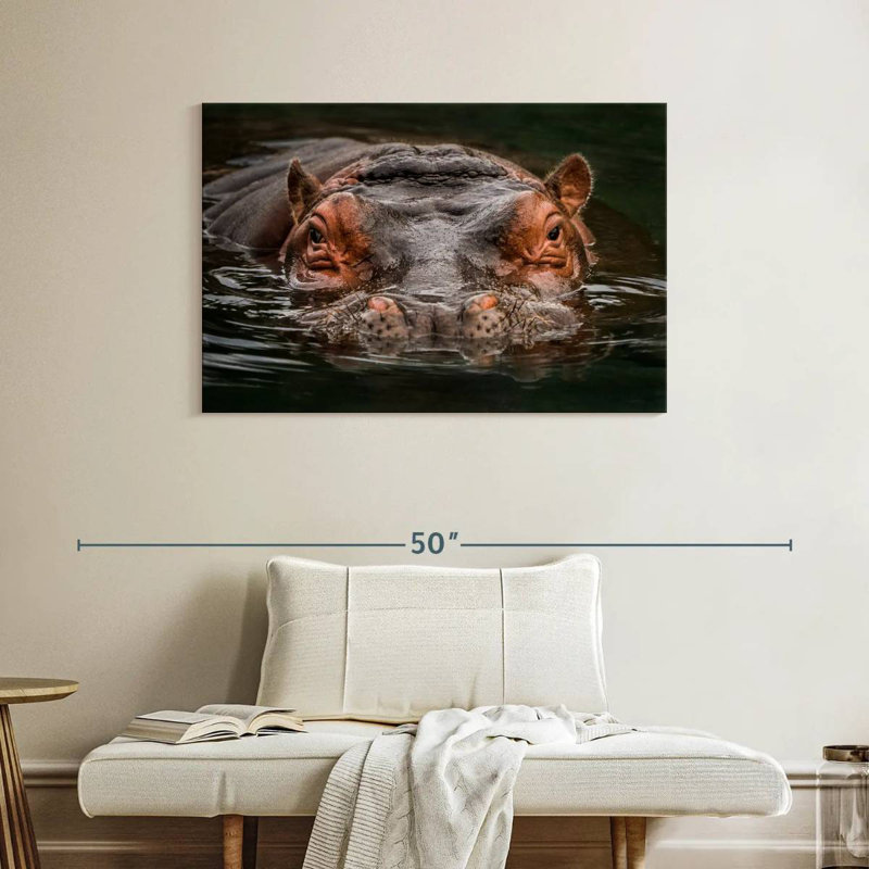 Brampt Submerged Hippo, 26" H x 39" W