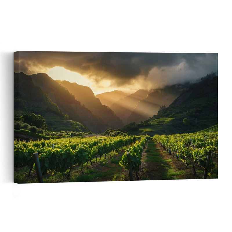 Sunlit Mountain Vineyard Dramatic Peaceful Serene Landscape Mountain Wall Art Print 1 Piece Wrapped Canvas Wall Art
